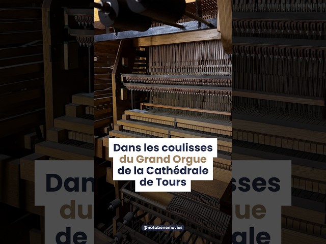 On entre dans un orgue !