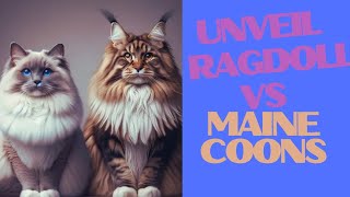 RAGDOLL vs MAINE COON: What You Need To Know