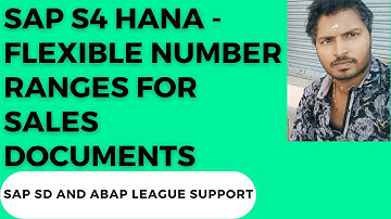 1. AP S4 HANA - Flexible Number Ranges for sales documents