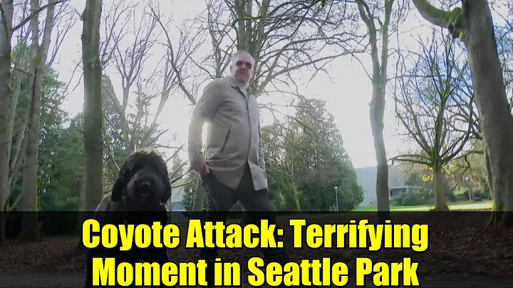 Coyote Attack: Terrifying Moment in Seattle Park