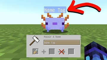 how to give a mob the name "Name Tag"
