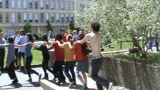 USF Psychology students in................ FLASH MOB CONGA LINE MADNESS!!!!!!!!!!!!!!!!!!!!!!!