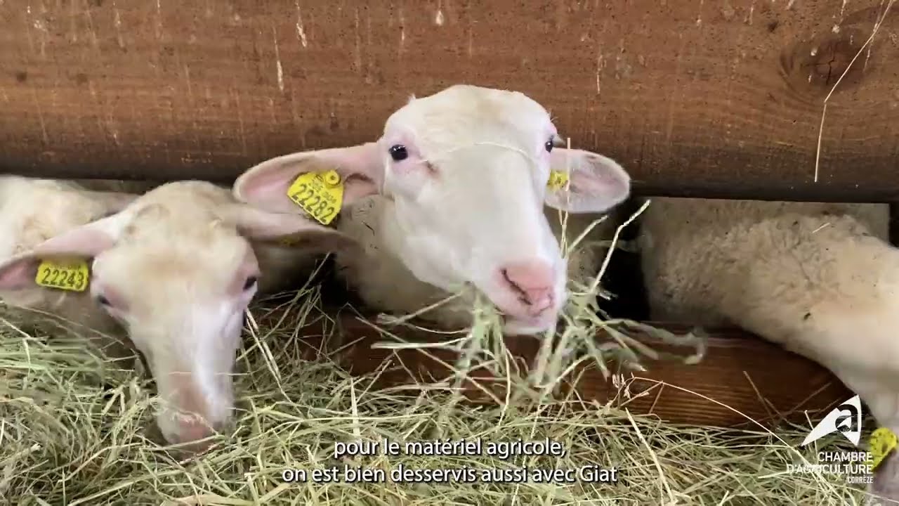 Ferme à transmettre ! #2