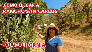 Ruta A Rancho San Carlos Aguas Termales | De Aventuras