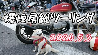 2ストだらけ爆煙ツーリング♪#gt380 #ツーリング #バイク女子 #旧車 #モトブログ 