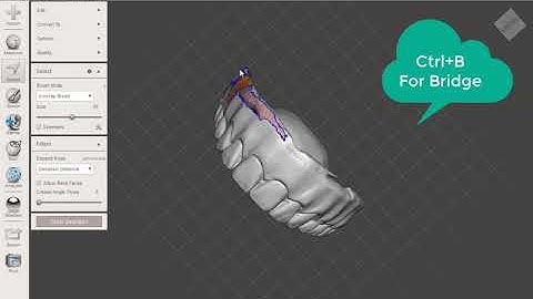 Fixing Denture Scan in  Meshmixer