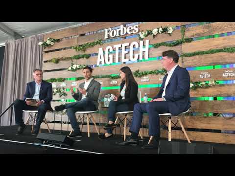 Global Perspactive Panel - YouTube