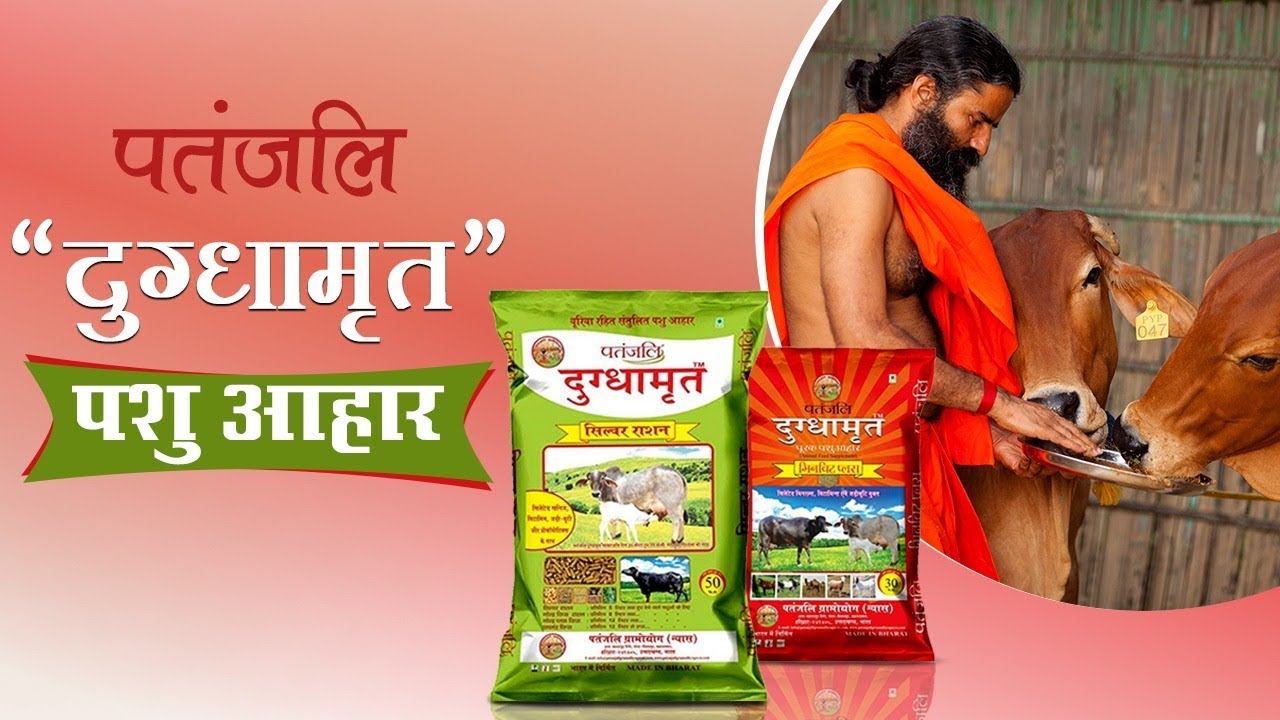 Patanjali Dugdhamrut Pashu Aahar | Patanjali Ayurved - YouTube