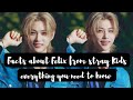 10 facts about stray kids felix you didnt know but needs to know now