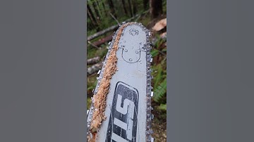 Clear the Chain. #mitchzenobitrees #shorts #lumberjack #chainsaw