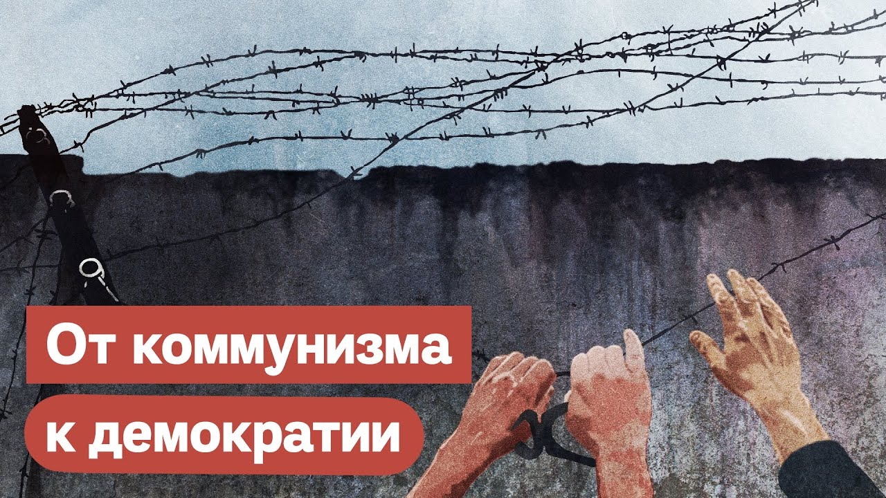 Предпросмотр