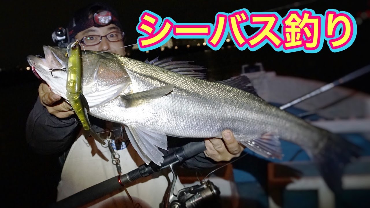 ビックベイトでシーバス釣り！エバーグリーンのエスドライブ - YouTube