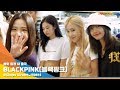 블랙핑크(BLACKPINK ), '천상계 비주얼'  [NewsenTV]