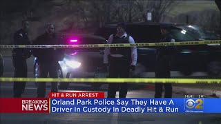Driver In Custody In Orland Park Hit Run