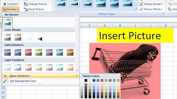 Lesson 44 The Insert Picture Adjust Microsoft Office Excel 2007 2010 free Educational video Training