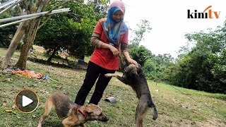 'Pergi cari rumah lain, bawa anjing, kucing kau dari sini...'