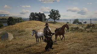 как бесплатно получить любую лошадь в RDR 2.