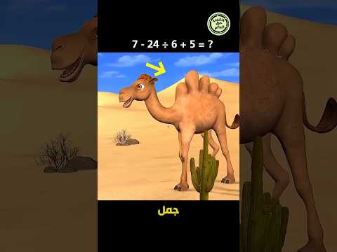 جمل غريب جدا ذو خمسة اسنام على ظهره   قصة