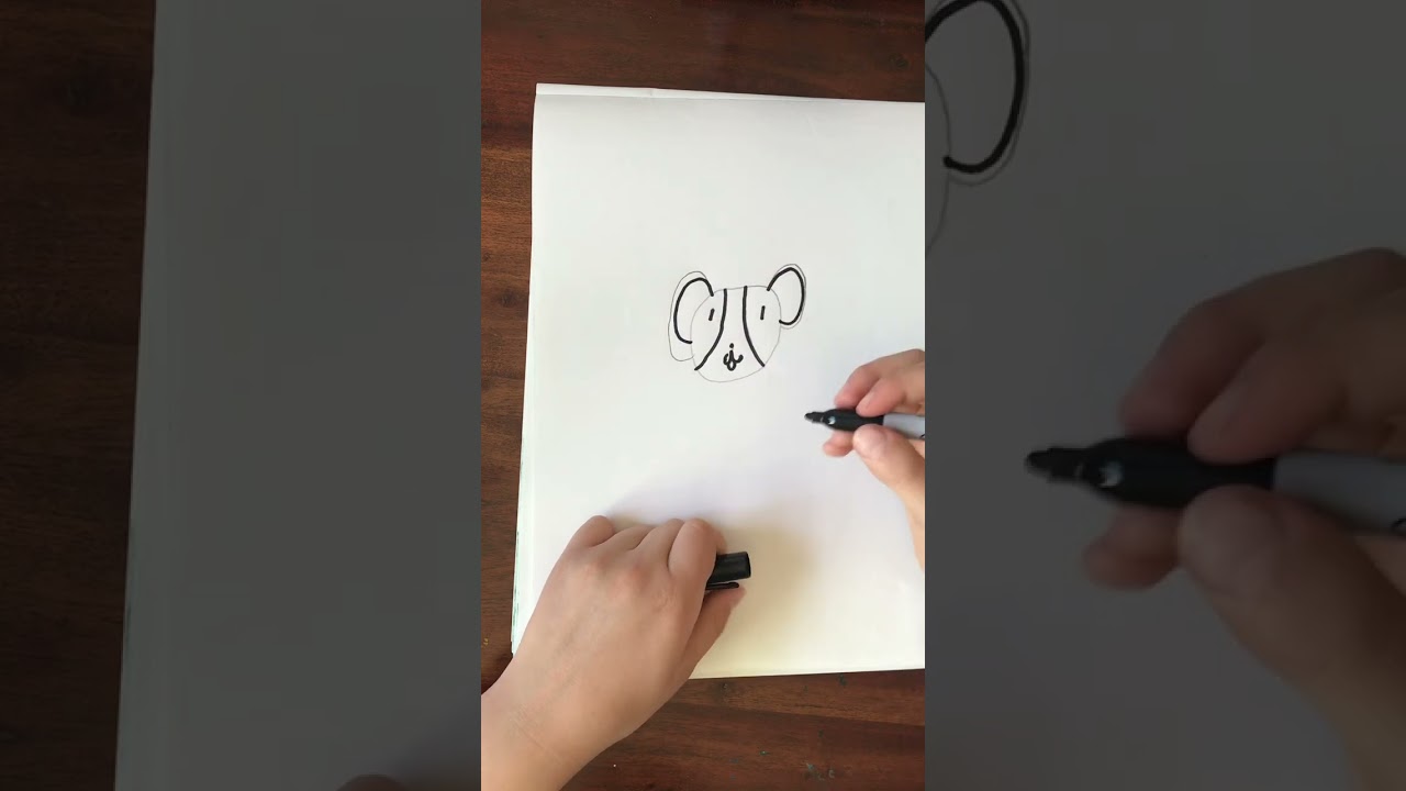 Scout drawing tutorial 🐶