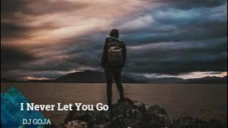 I NEVER LET YOU GO │ DJ GOJA