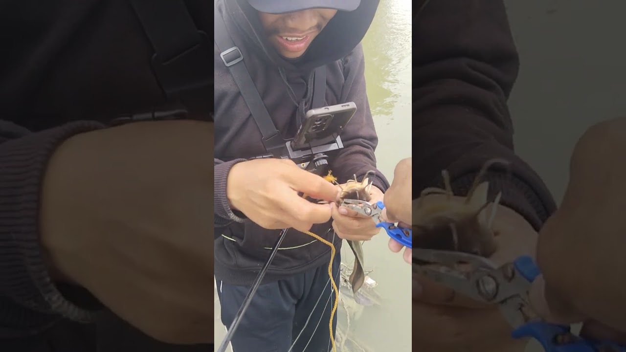 Mancing ikan rucah di sungai tambak dapat ikan sembilan banyak 