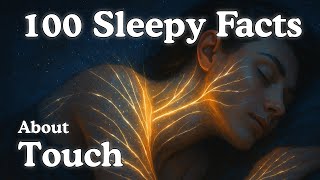The Most Peaceful Science Facts About Touch and Sensory Healing to Fall Asleep To