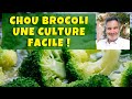 Chou brocoli : un super-aliment au jardin potager ! 🥦🥦🥦