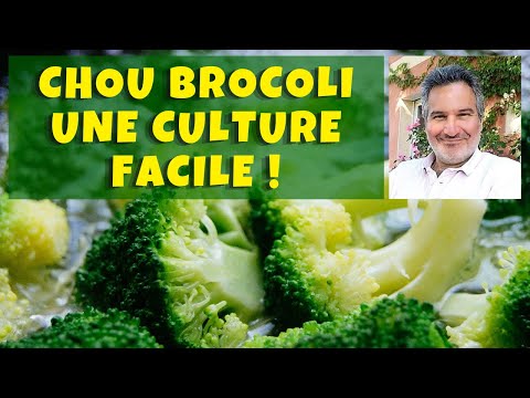 Vidéo: Pousses latérales sur les plantes de brocoli : Récolter les pousses latérales de brocoli