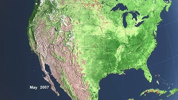 United States Fire Observations and MODIS NDVI [1080p]