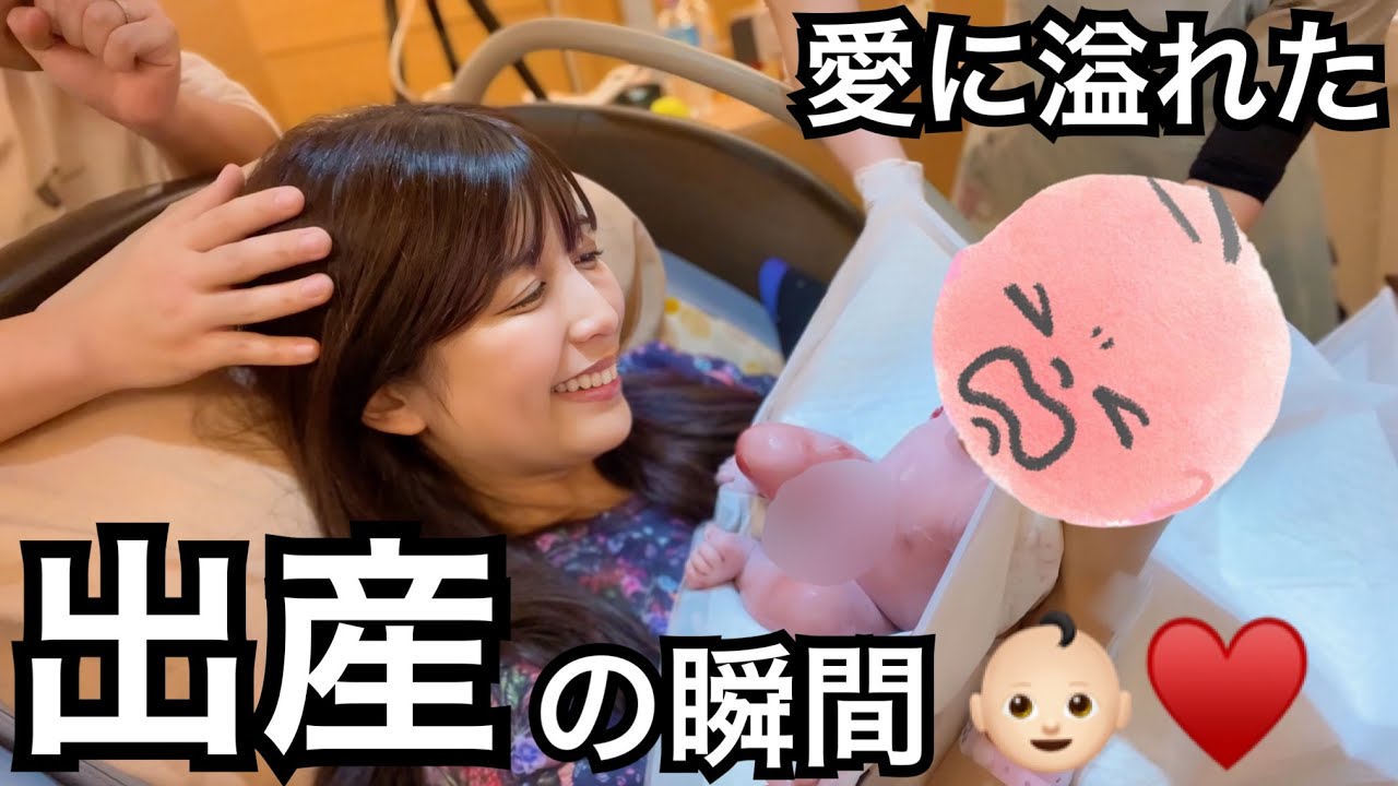 ゆんちゃん様確認用 【公式通販】