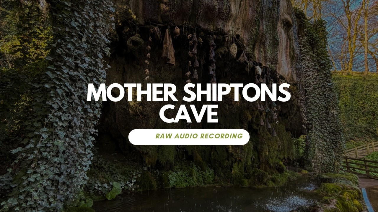 【美品】Australia: Sound of the Earth アンビエント The Petrifying Well - Unedited Ambient Recording - Sony D100 +