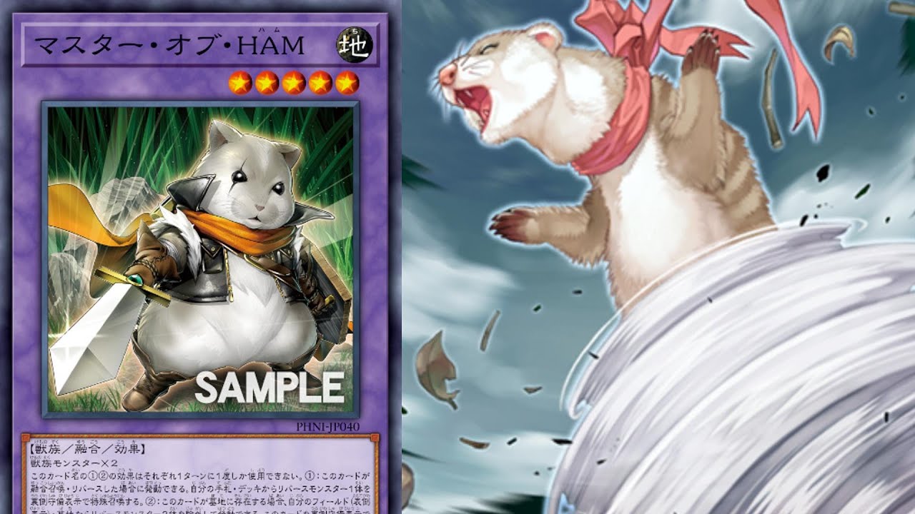hamster yugioh card 1634. Rescue Hamster First released in Japanese and in English in 2014  That's it for the 'Rescue Squad'! #YuGiOh