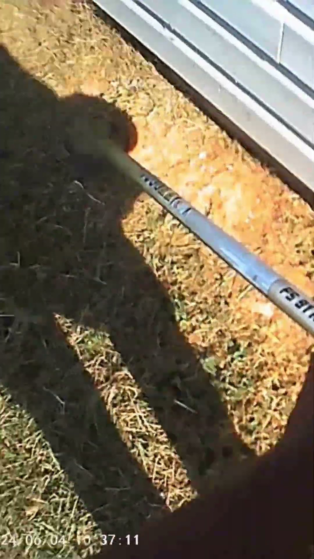 A little weedy - YouTube