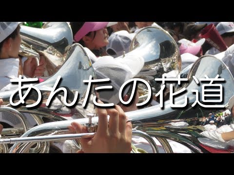 大阪桐蔭 あんたの花道 応援歌 2018夏 第100回 高校野球