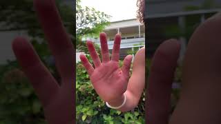 Monkey Bar Hands ! Ed