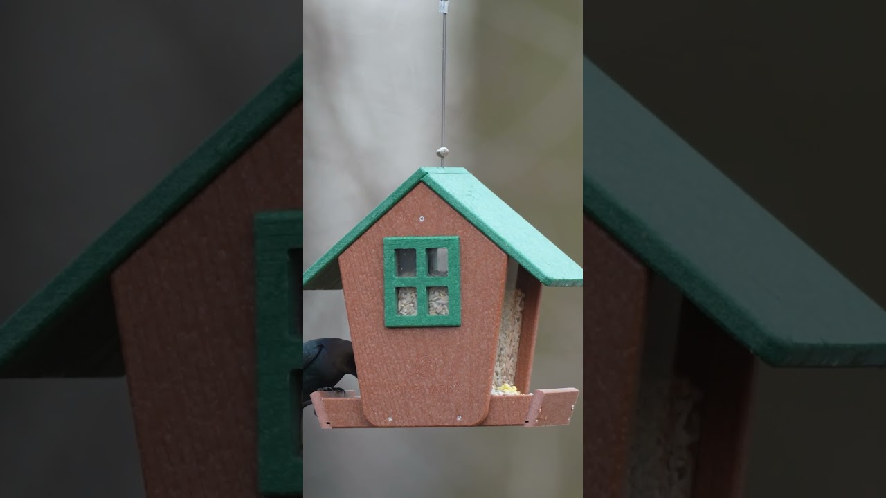 Kingsyard House Bird Feeder for Attracting Backyard Birds! 