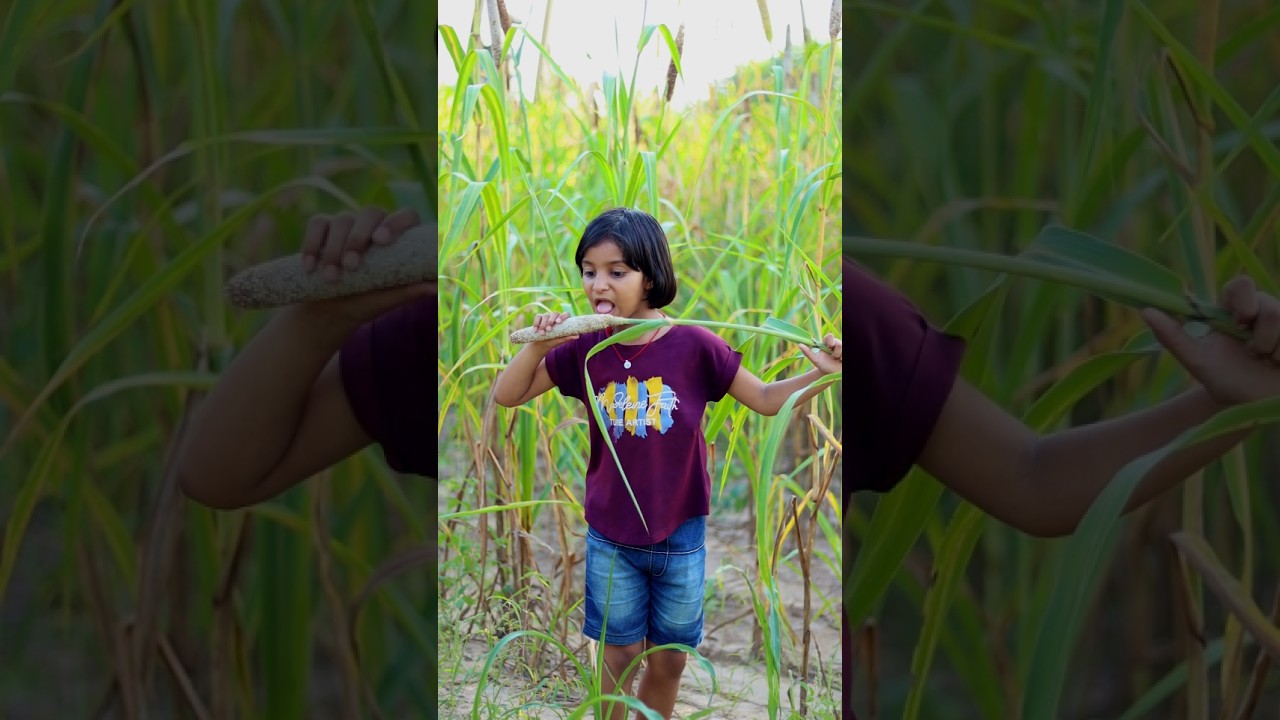 Garib girl village life Bajre ka butta 😲😧 