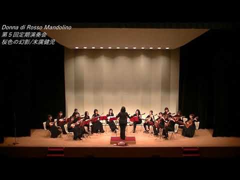 桜色の幻影
