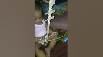 Tehyan cilik