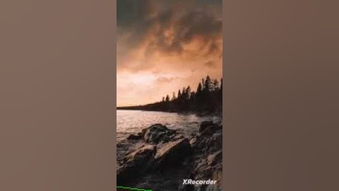 سورة الزلزلة بصوت الشيخ -سعد الغامدي ،