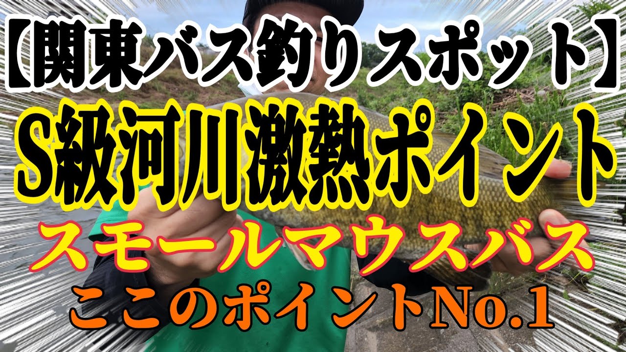 【関東バス釣り】茨城～埼玉バス釣りポイント！S級激熱ポイント紹介！ビキニも見える爆釣スポット！初心者向け！