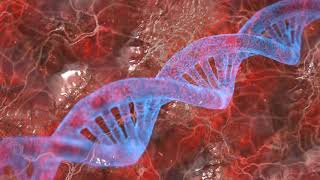 Forensic analysis || Paternity Testing || Crime scene Investigation || DNA fingerprinting