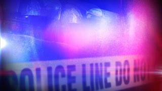 Crosslake Man Dies After Tree Cutting Accident
