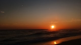 DARVIIN - MORENA