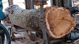 How to comb hard acacia wood using a band saw blade from scratch || acacia woodworking sawmill.