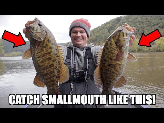 How to Fish for SMALLMOUTH BASS in Rivers! - River Fishing Tips to CATCH  MORE Bass! 