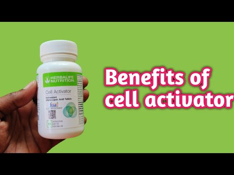 Lets Keto Dischem Price Affordable Options For Every Budget