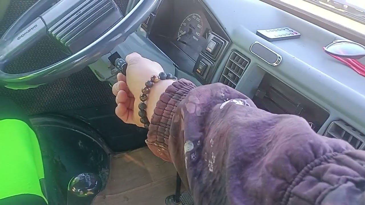 Деу Дамас маленький помощник в семье.