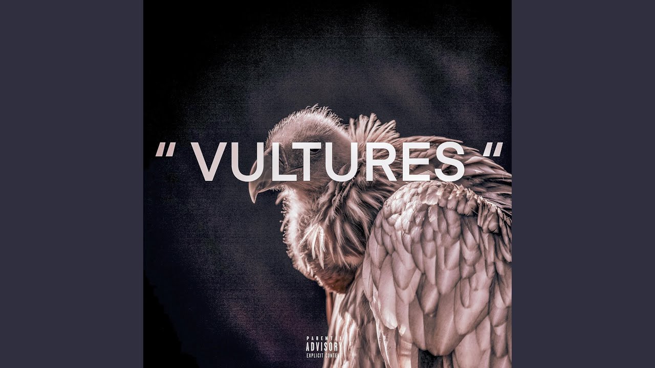 Guarda Vultures su YouTube Guarda Vultures su YouTube