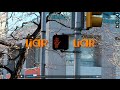 Liar Liar: A short by Xiangyi Shen